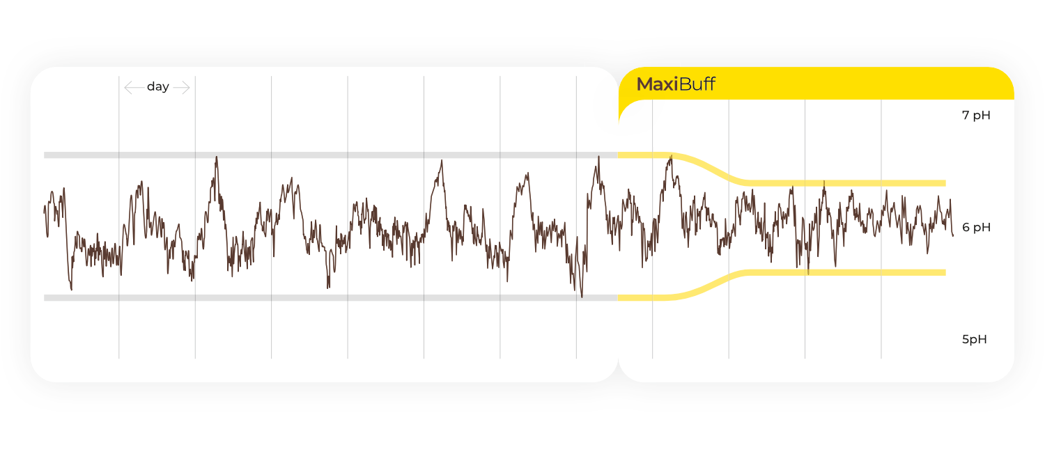 Research how do you control rumen pH in cattle?
